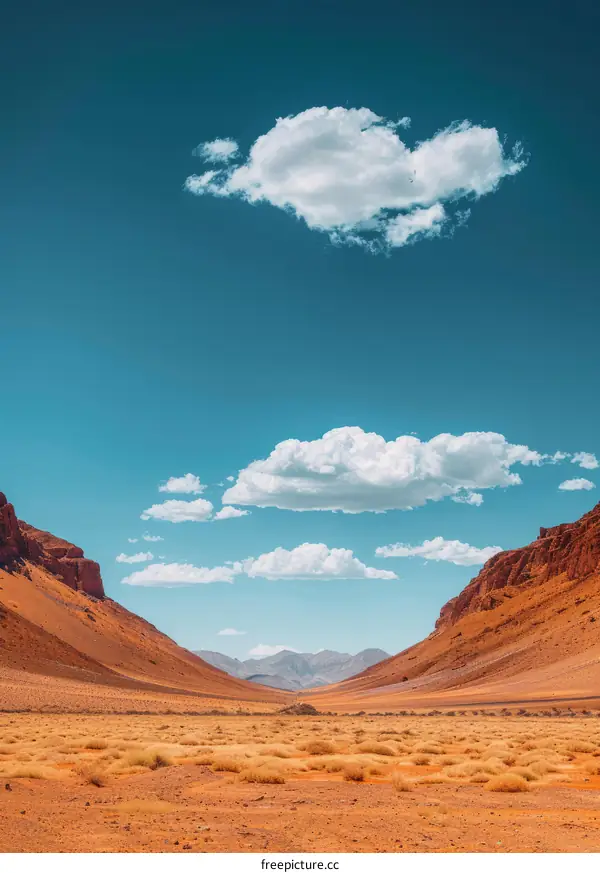 Arid Desert Landscape with Distant Mountains