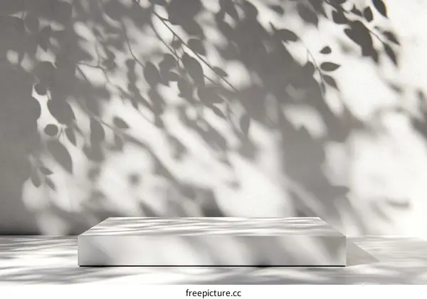 Empty White Display Podium with Natural Leaf Shadows