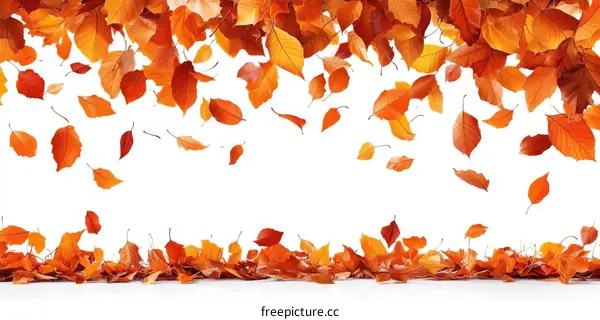 Autumn Falling Leaves Background Image