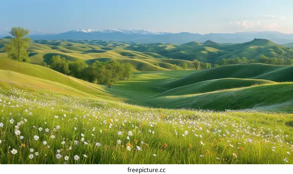 Rolling Hills with Wildflowers and Snowy Mountains