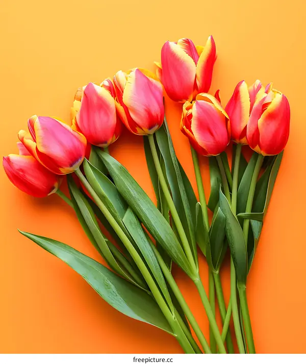 Orange Background with Bouquet of Red and Yellow Tulips