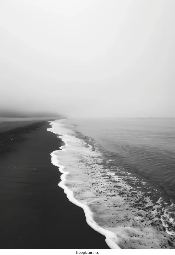 Black Sand Beach with White Waves and Misty Sky