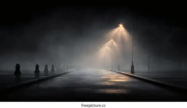 Misty Night Road with Streetlights