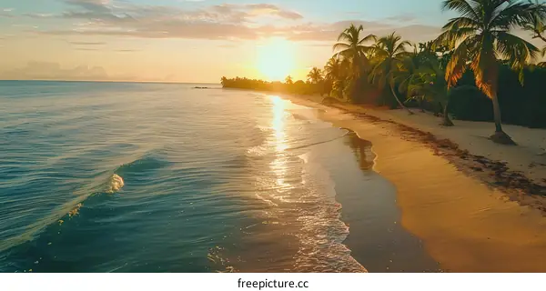 Beach sunset with palm trees