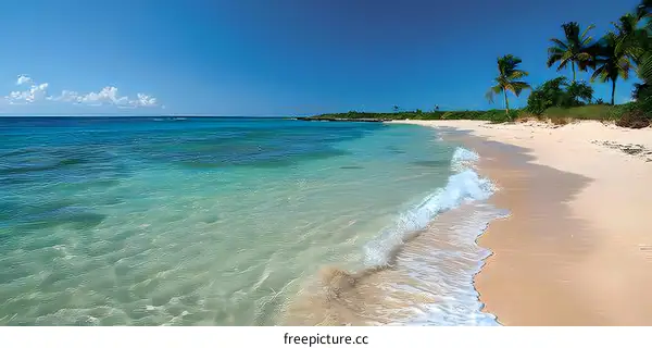 Beautiful beach with palm trees and white sand