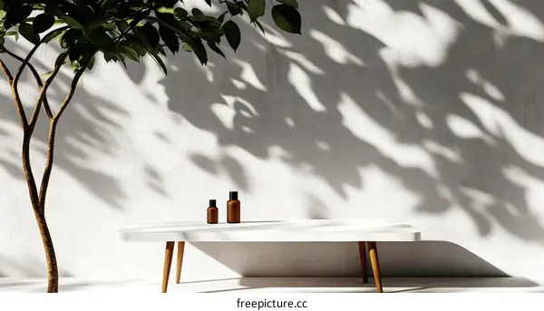 Minimalist Outdoor Decor with Tree Shadows