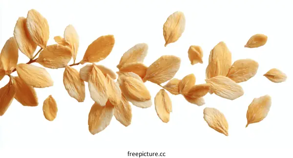 Delicate Dried Flower Petals in Elegant Arrangement