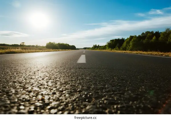Sunlit open road with clear sky and green trees on both sides