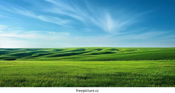 Green rolling hills under blue sky and white clouds