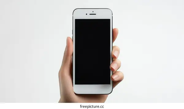 Hand Holding a Blank Screen Smartphone