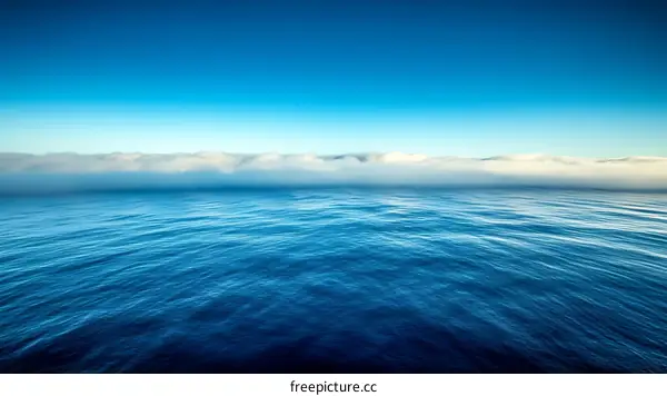 Vast Ocean Meets Majestic Fog