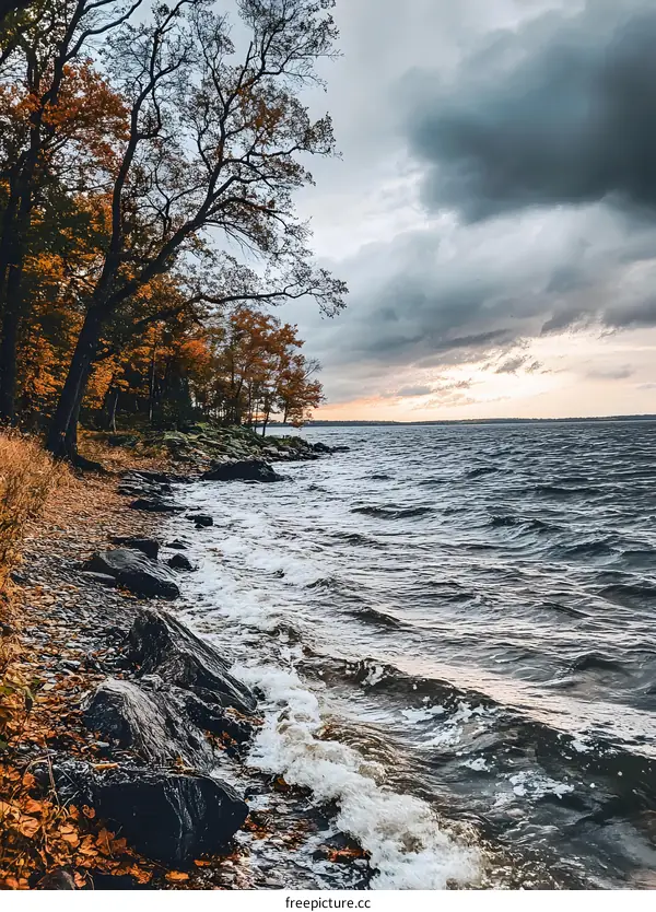Autumn Lake Shore With Cloudy Sky and Waves