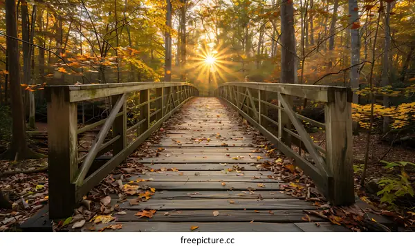 Wooden Bridge Through Autumn Forest with Sun Rays