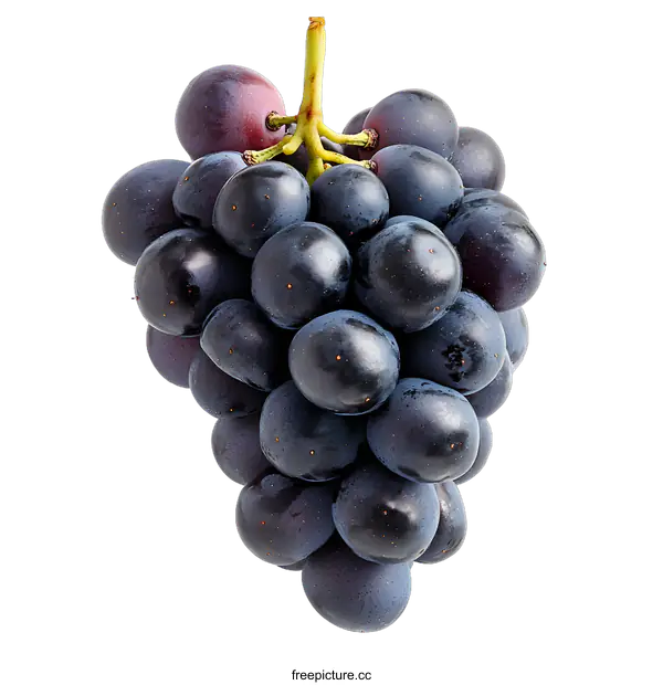 [Transparent Background PNG]Fresh Bunch of Black Grapes Isolated on White Background