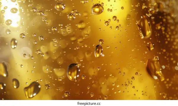 Close-up of bubbles in a glass of champagne