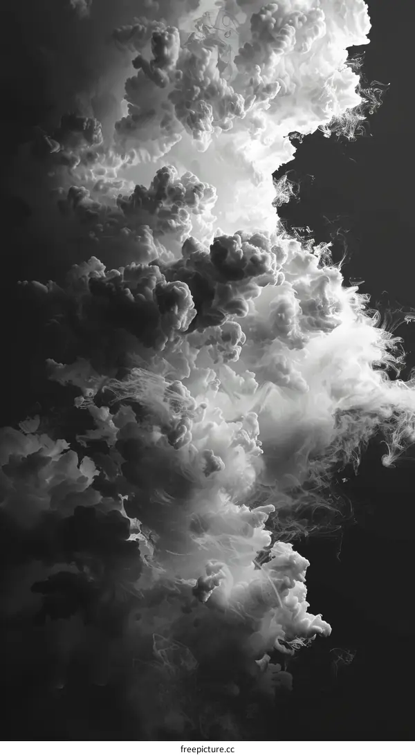 Black and white abstract painting