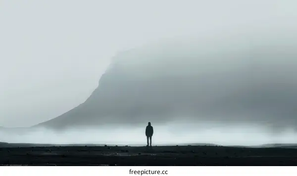 Man standing alone in a vast foggy landscape