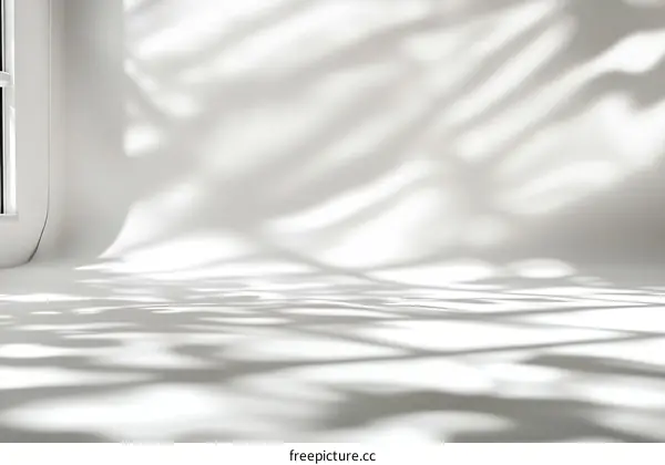 White Studio Background with Leaf Shadows