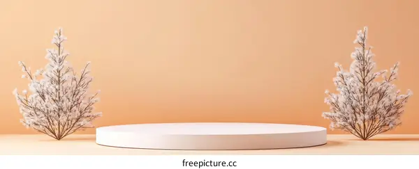 Minimalist Winter Display Stand with Snowy Branches