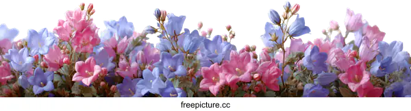 [Transparent Background PNG]Colorful Flower Arrangement in Soft Tones