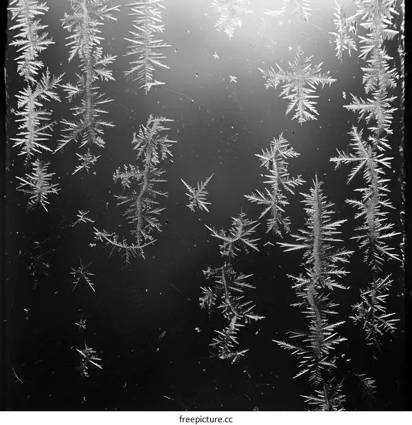 Frost on a Window