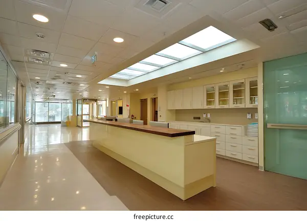 Modern Hospital Reception Area with Skylight