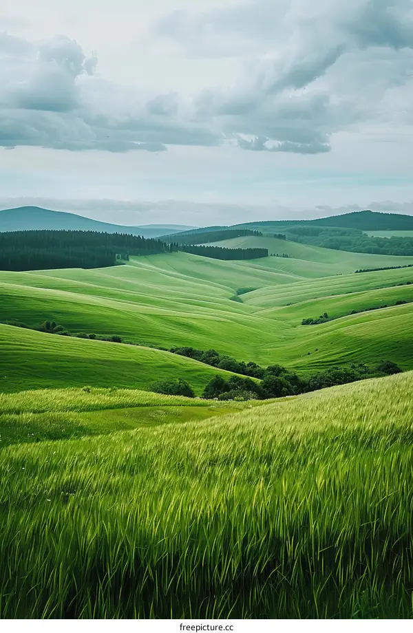Green rolling hills under a cloudy sky