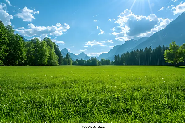 Green Grass Field Surrounded by Trees and Mountains