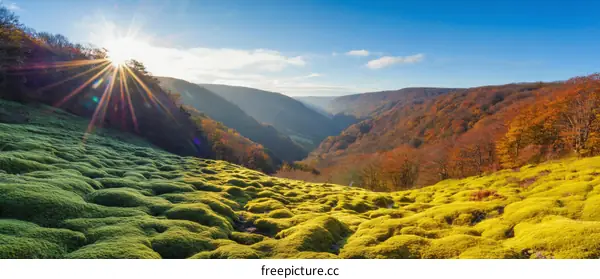 Autumn Valley Landscape with Mossy Hillside