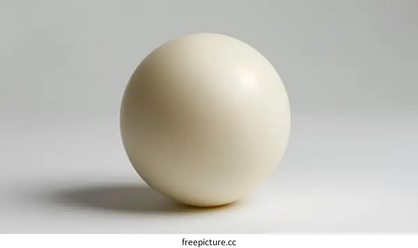 Ostrich egg