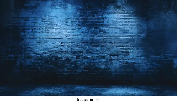 Dark Blue Grunge Brick Wall Studio Backdrop