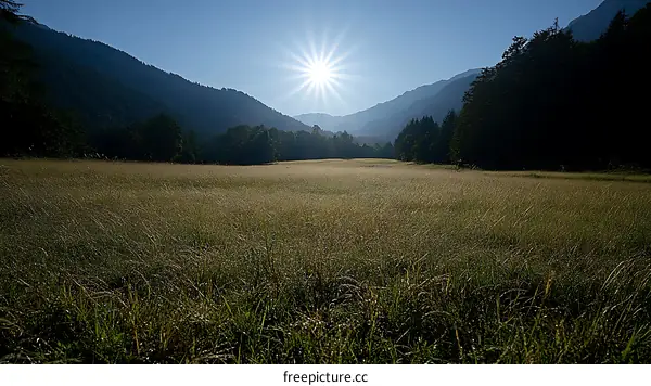Sunrise over a Golden Meadow