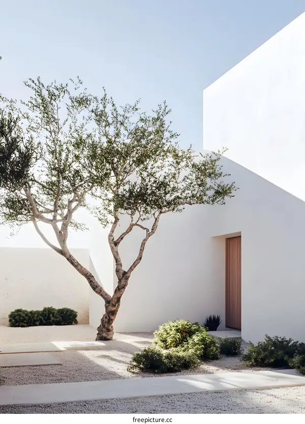 Minimalist Modern Home Exterior with Tree and White Walls