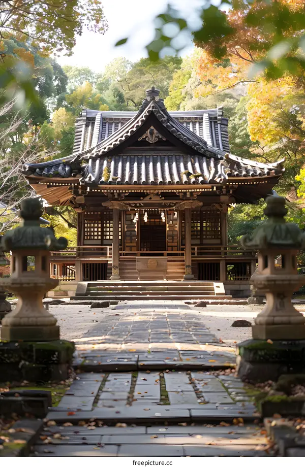 A small Japanese Shinto shrine in a forest with autumn leaves