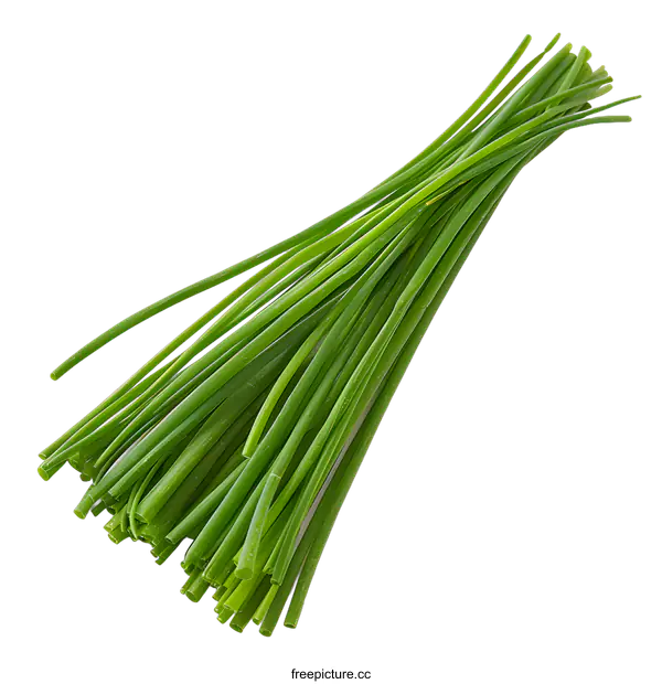 [Transparent Background PNG]Fresh chives isolated on white background