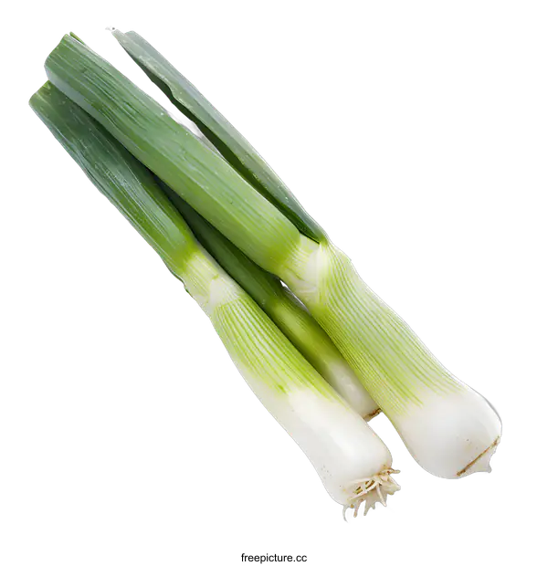 [Transparent Background PNG]Fresh Green Scallions Isolated on White Background