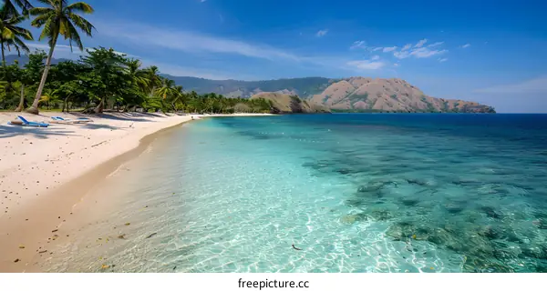 A beautiful beach with crystal clear water and palm trees.