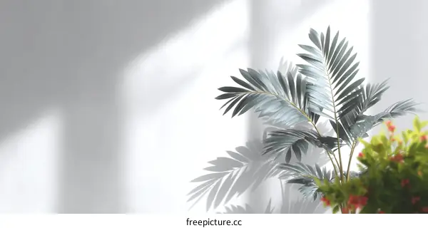 Elegant Shadow Play with Greenery