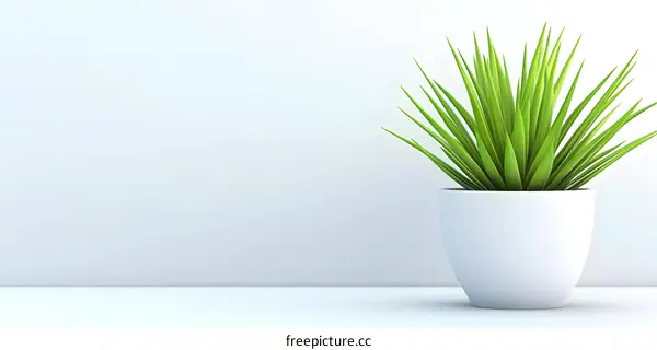 Minimalist White Wall with Green Plant in White Pot