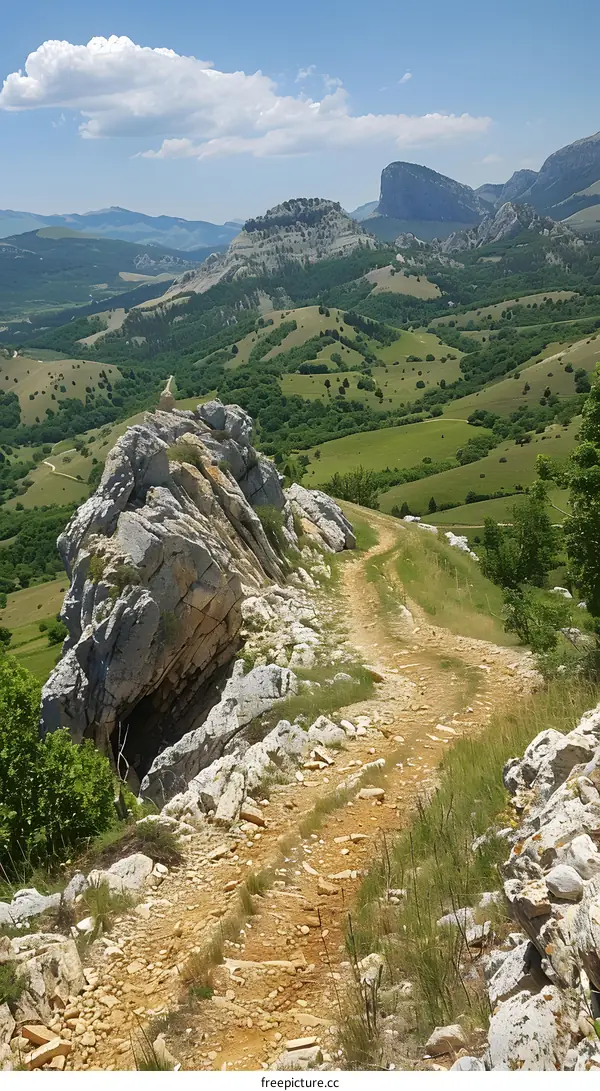 Rocky Mountain Path on a Sunny Day