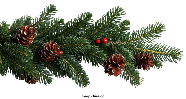 [Transparent Background PNG]Christmas Fir Branch Garland Decor