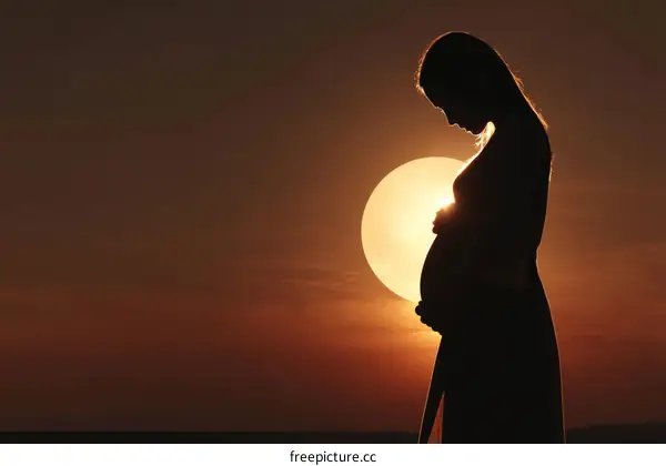 Sunset Silhouette of a Pregnant Woman