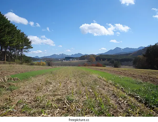 A field of grass and trees with mountains in the distance