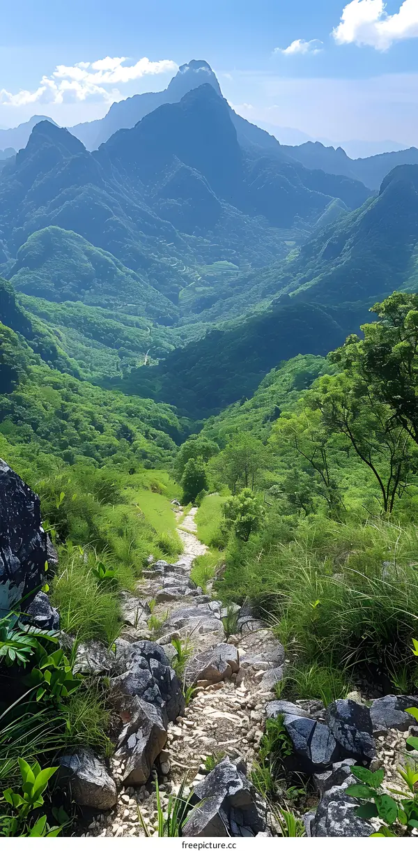 The Summit of Mount Emei