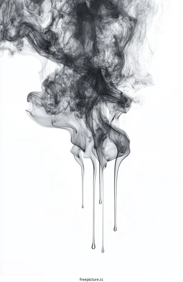 Abstract Ink Drips Art