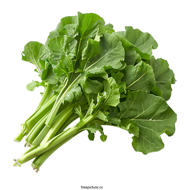 [Transparent Background PNG]Fresh green turnip on white background