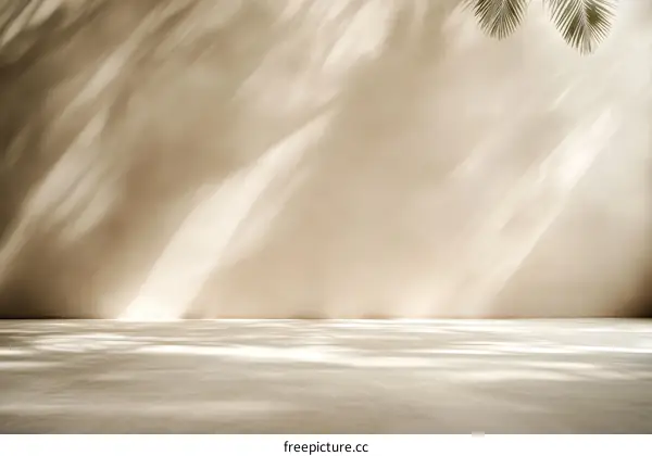 Beige Minimalist Studio Background with Natural Light