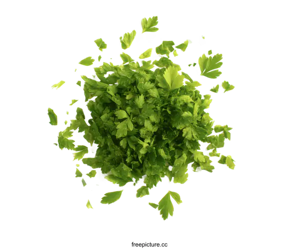 [Transparent Background PNG]Fresh Chopped Parsley
