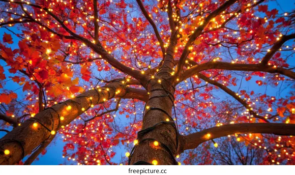Autumn Tree with Warm Lights