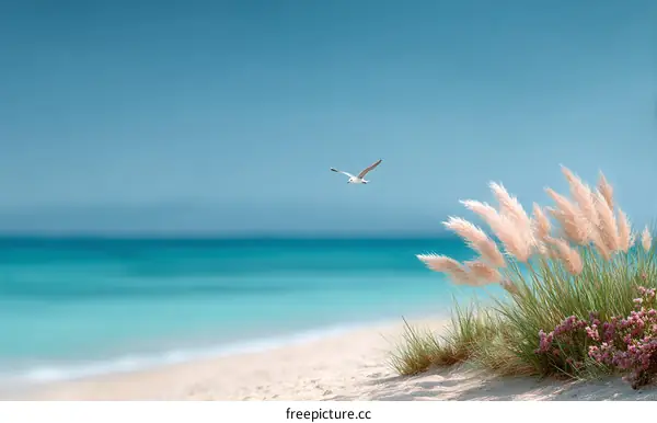 Tranquil Beach Scene with Seagull